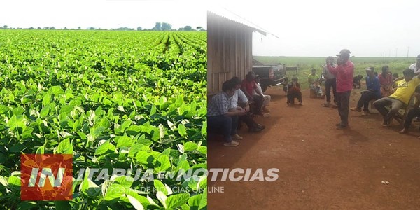 INICIA ZAFRA SOJERA Y 3.000 HA. DE TIERRAS INDÍGENAS SERÍAN EXPLOTADAS