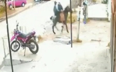 “Cabachorros” roban el celular a una mujer