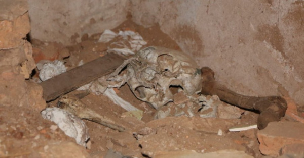 Ojetopa restos óseos en casa de Stroessner