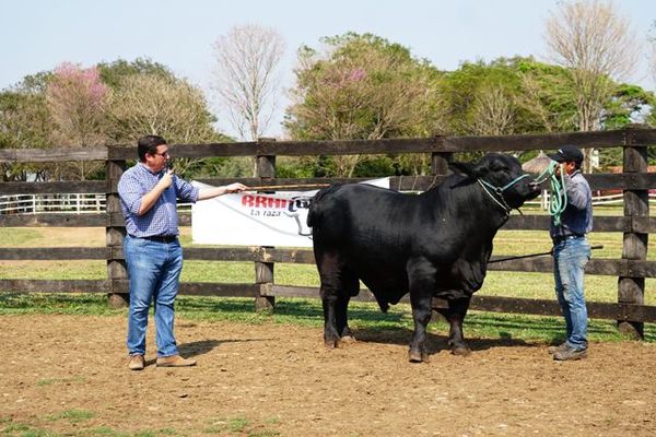 Promueven capacitación de nuevos jurados - ABC Rural - ABC Color