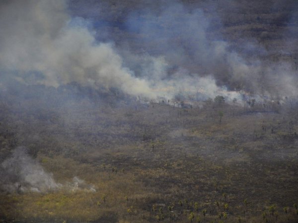 Reportan 34 nuevos focos de incendio en el Alto Chaco