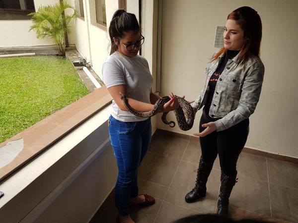 Realizan taller sobre identificación y manejo de serpientes en Ayolas - Nacionales - ABC Color