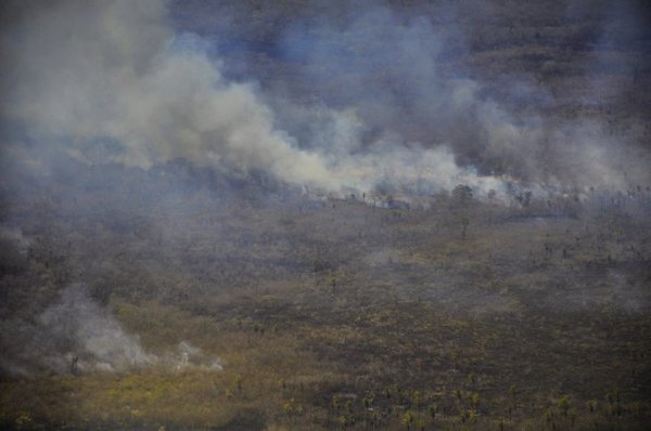 Reportan 34 nuevos focos de incendio en el Alto Chaco
