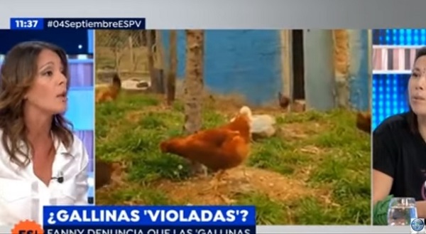 Continúa la polémica de las "gallinas violadas"