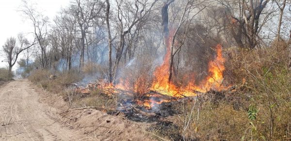 Focos de incendio en el Chaco: Llamas afectan a monumento natural | Noticias Paraguay