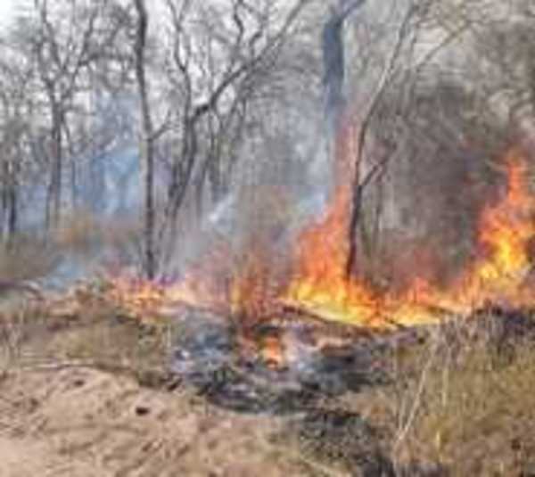 Se reavivó el incendio en el Chaco: Reportan 34 nuevos focos - Paraguay.com