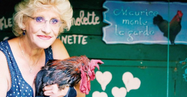 Gallo Maurice seguirá cantando, juez ma he’i