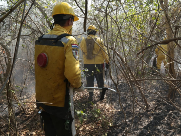 Nuevos focos de incendio fueron provocados por el hombre