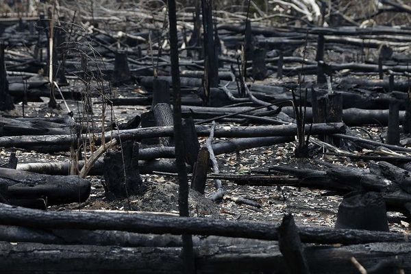 La Unesco llama a proteger mejor los bienes comunes de la humanidad - Mundo - ABC Color