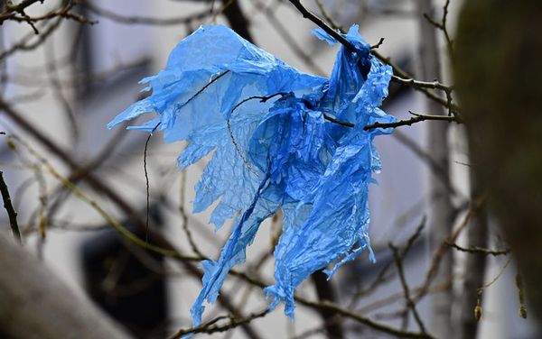 Alemania quiere prohibir las bolsas de plástico en los comercios - Mundo - ABC Color
