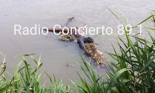 Hallan cadáver en aguas del Monday