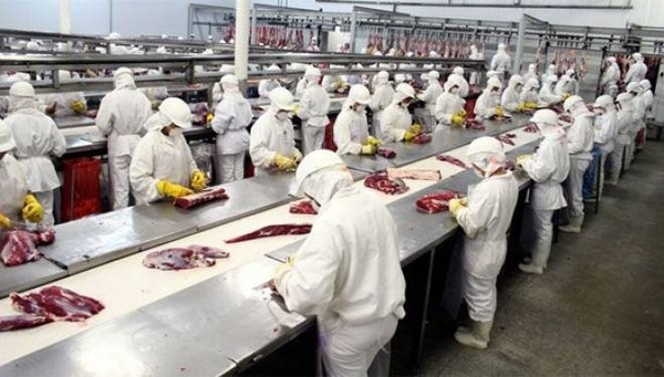 HOY / Convocan a concepcioneros para oportunidades laborales
