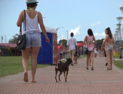 En esta ciudad te cobran G. 60.000 por tener un perro | Noticias Paraguay