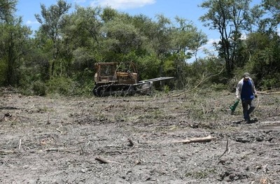 MADES impone fuerte multa a Ganadera por desmonte de 2.974 hectáreas