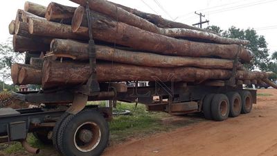 Infona detecta a funcionario que falsificaba guías forestales