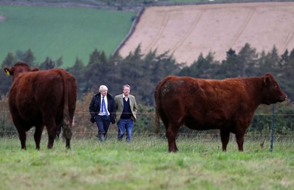 Lores aprueban ley contra un brexit sin acuerdo - Mundo - ABC Color