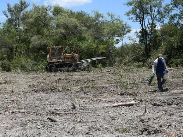 Desmonta 3.000 hectáreas y le multan con G. 1.600 millones