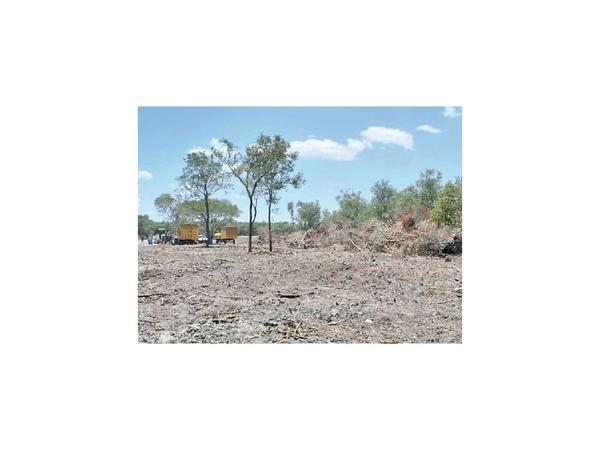 Aplican multa por desmontar casi 3.000 ha. en el Chaco