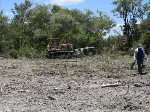 Fuerte sanción económica por daño ambiental
