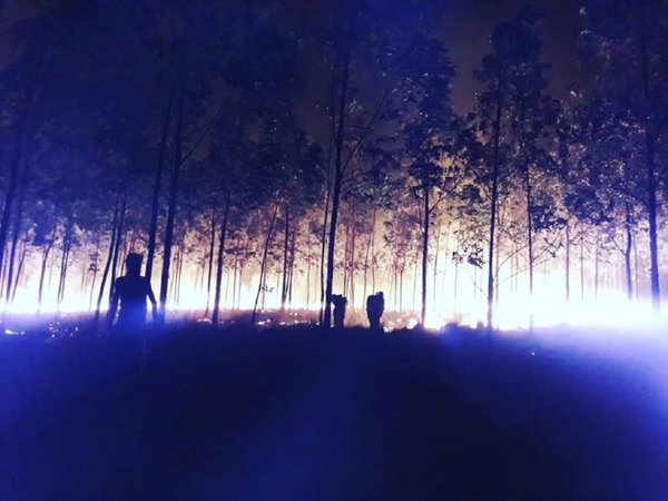 Incendio consume 36 hectáreas en cercanía del cerro Mbatoví