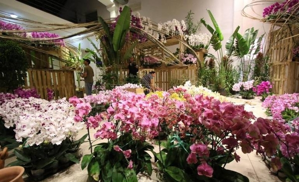 HOY / El reino de las orquídeas llega a Paraguay