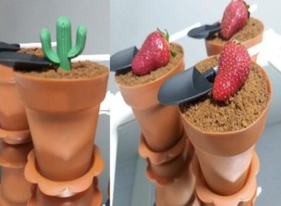 Estas plantitas con arena ¡se come!