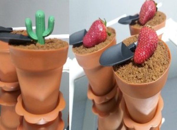 Estas plantitas con arena ¡se come!