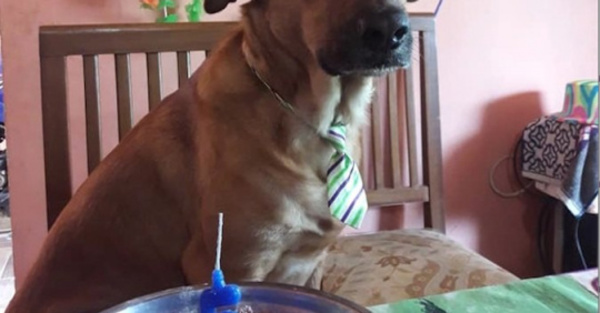 'Toby' festejó su cumple con 'loperro'