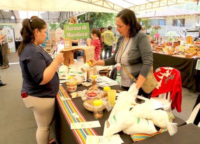 Sector industrial pide más asistencia a las mipymes