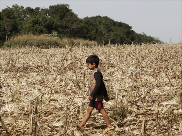 Estudio de Itaipú del 75 advertía a los indígenas  a no  dejar sus tierras