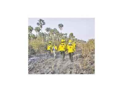 De nuevo se aviva  fuego en cerro Chovoreca