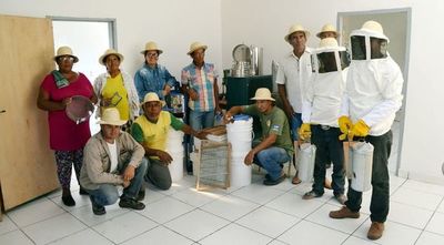 Producción de miel afectada por los incendios en el Chaco - Interior - ABC Color