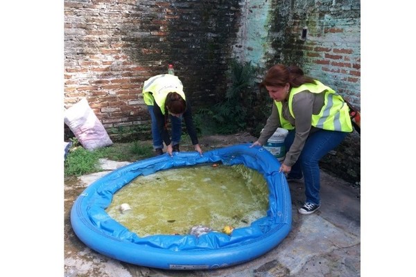 Dengue: Número de afectados sigue creciendo y registran casos nuevos por semana - ADN Paraguayo