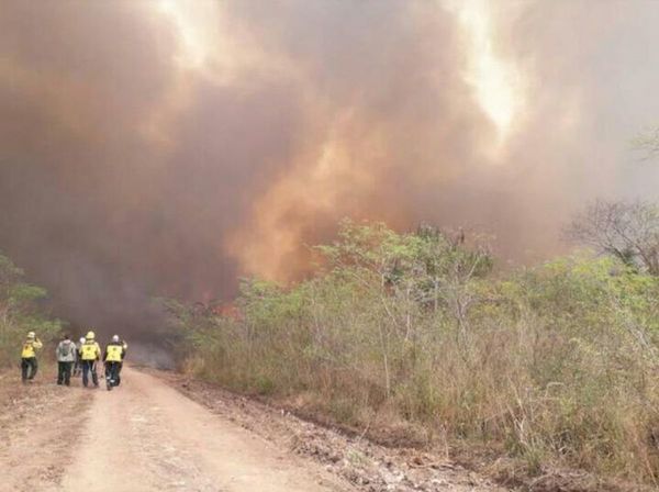Bomberos intentar sofocar nuevos focos de incendio en el Chaco