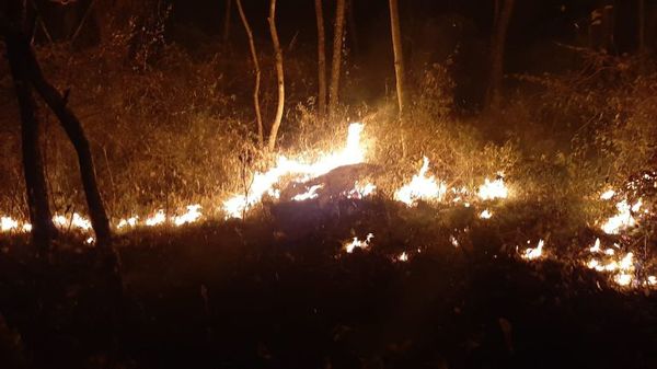 Controlan incendio en emblemático cerro de Fuerte Olimpo - Nacionales - ABC Color