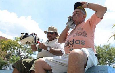 Lunes con ambiente caluroso que alcanzaría los 38 Cº » Ñanduti