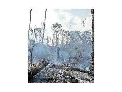 Deforestación en  Amazonia brasileña saltó un 222%