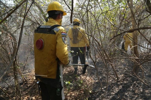 Nuevos focos de incendios en el Chaco por acción humana