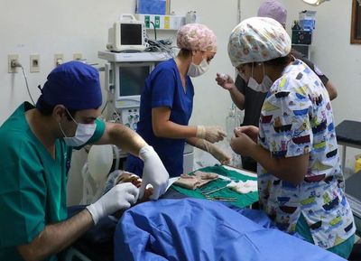 Unas 349 personas, a la espera de acceder a la donación de órganos