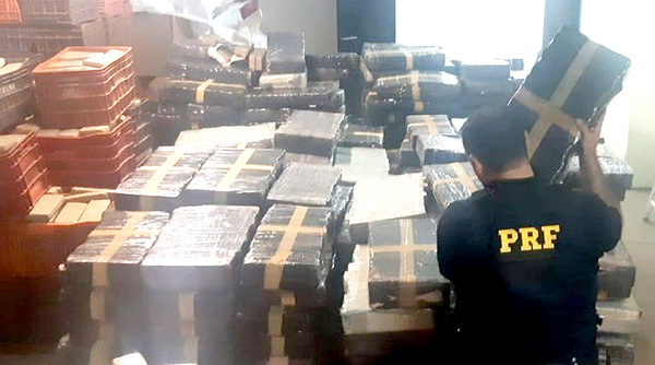 Policía Federal incauta 4,6 toneladas de marihuana paraguaya que era transportada en camión cisterna