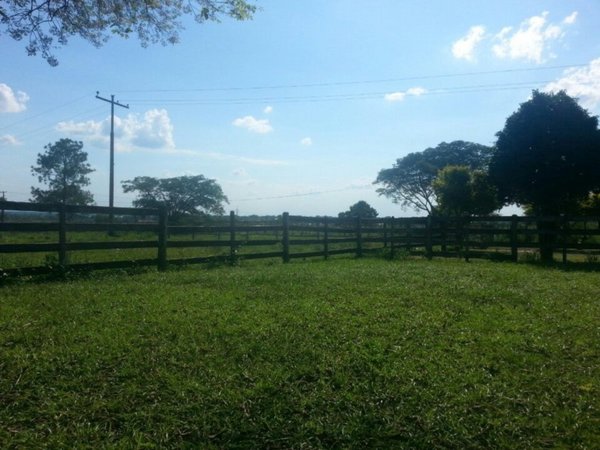 Indagan si joven murió por sobredosis en fiesta privada