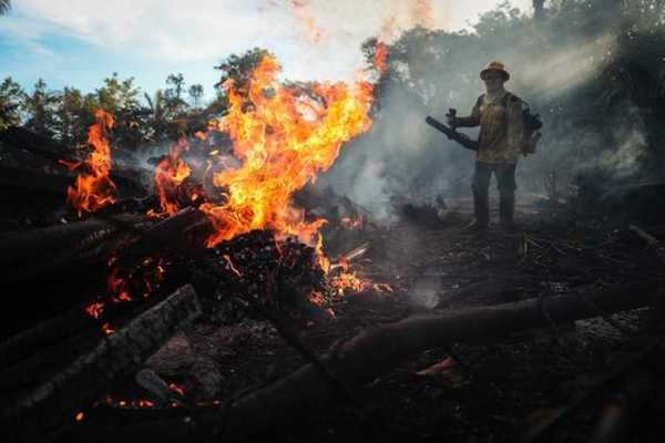 La deforestación en la Amazonía brasileña saltó un 222 % en agosto - ADN Paraguayo