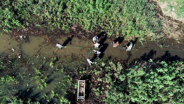 Lanzan campaña de limpieza “Un día por tu Bahía”
