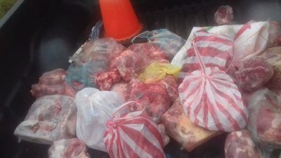POLICÍA DE FRAM UBICA A SUP. ABIGEOS Y RECUPERA CARNE RECIENTEMENTE FAENADA