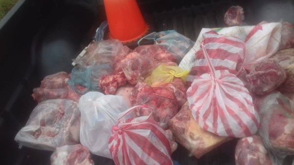 POLICÍA DE FRAM UBICA A SUP. ABIGEOS Y RECUPERA CARNE RECIENTEMENTE FAENADA