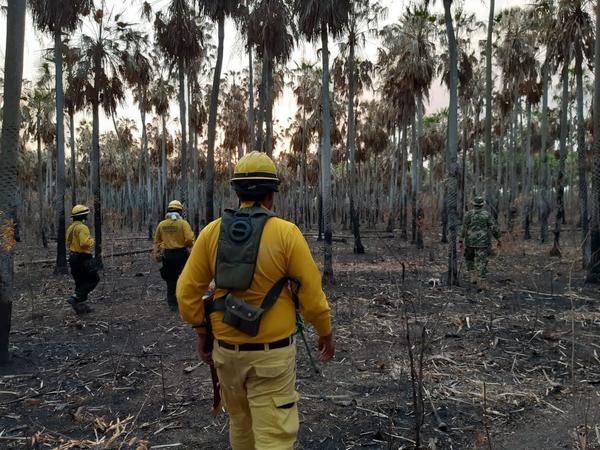 Fuerzas de emergencia continúan trabajos en dos frentes de incendio en el Chaco | .::Agencia IP::.