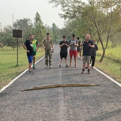 Avistan kuriju en zona del Parque Guasu  - Nacionales - ABC Color