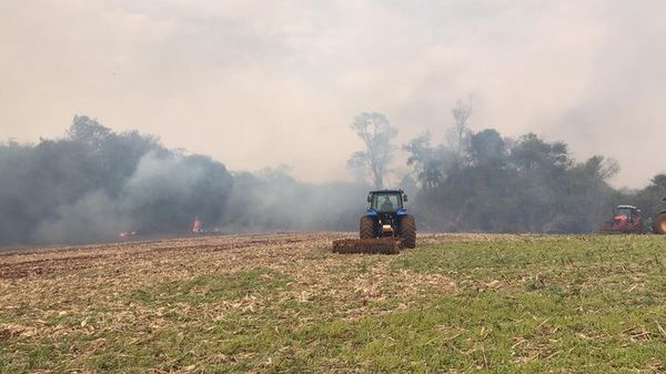 Aproximadamente 30 hectáreas de bosque se quemaron en zona de Naranjal » Ñanduti