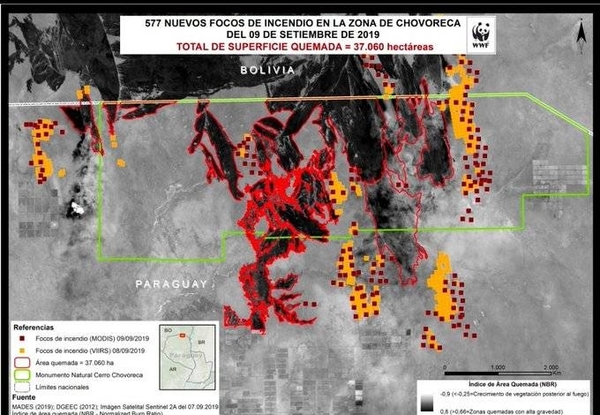 HOY / Chaco: 100.000 hectáreas quemadas, nuevos focos y el fuego avanza 20 km por día