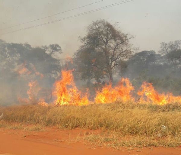 Fuego se torna incontrolable en San Pedro - Nacionales - ABC Color